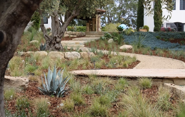 best landscape architect near me