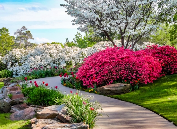 certified landscape designer near me