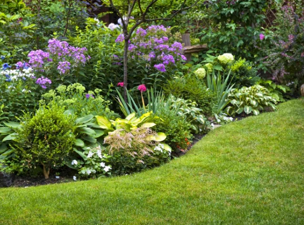 landscape planners