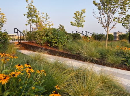 arborist and landscape architect