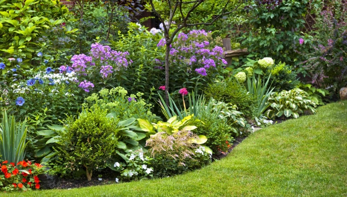 a landscape designer