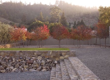 andrea cochran landscape architect