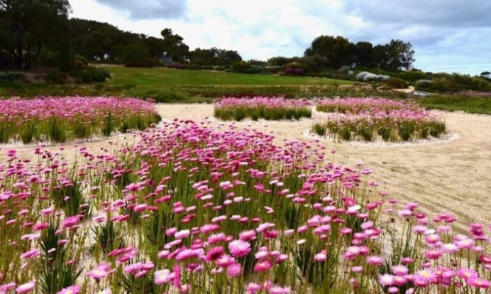 paul thompson landscape architect