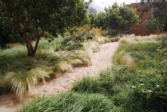 pamela burton landscape