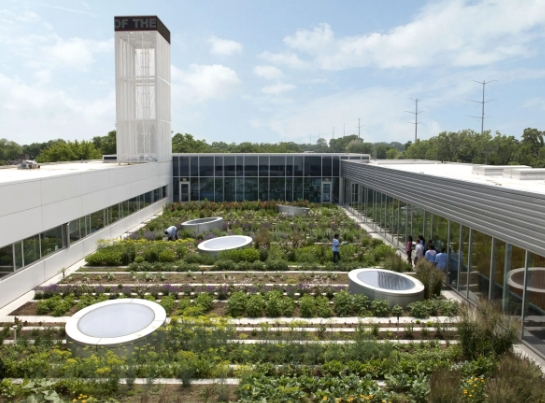 sustainable design landscape architecture