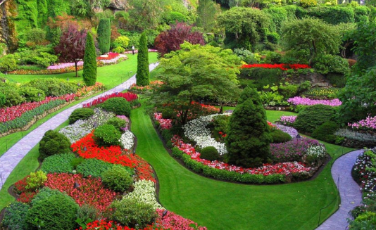 arborist and landscape architect