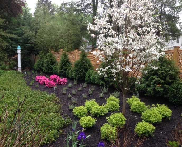 architect 3d landscape design