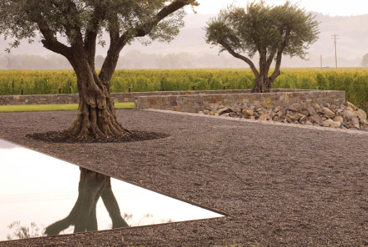 andrea landscape architect