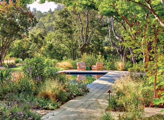 architecture and landscape