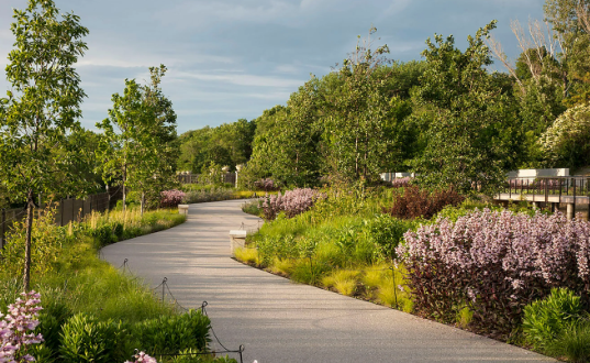 botanic landscape architects