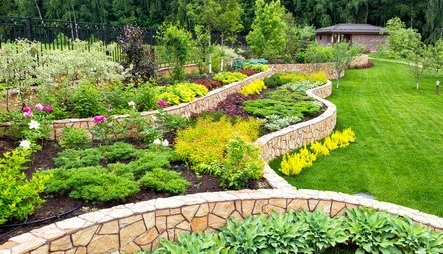 landscape expert