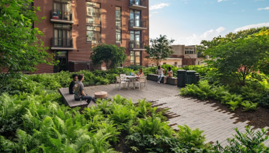 dc landscape architect