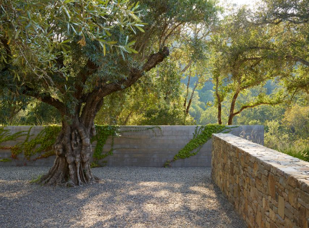 andrea cochran landscape architect