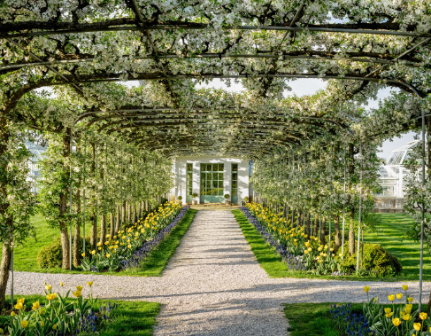 architectural garden design