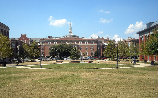 black owned landscape architecture firms