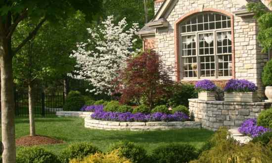 professional landscape designer