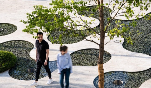 aspect studios landscape architects