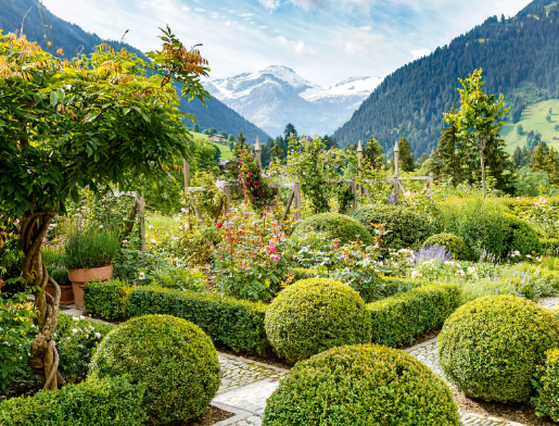 planting design landscape architecture