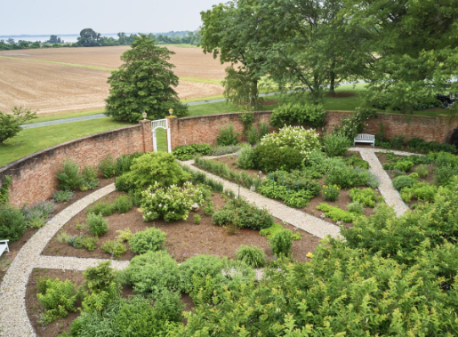 barbara paca landscape architect