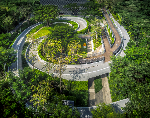 1 landscape architect