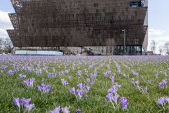 african american landscape architects