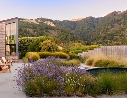 sf landscape architects