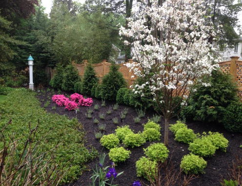 backyard architects near me