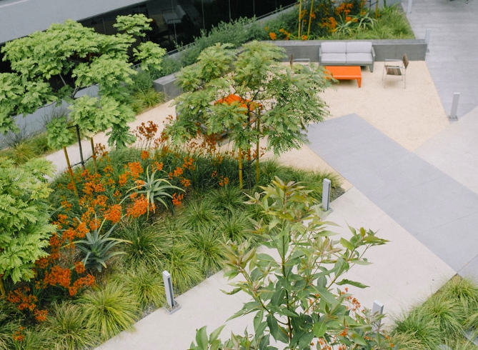 landscape architect designer
