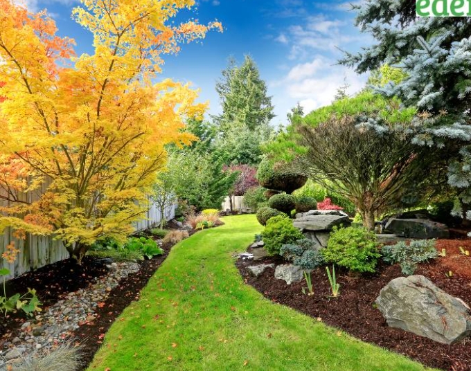 outdoor landscape architect