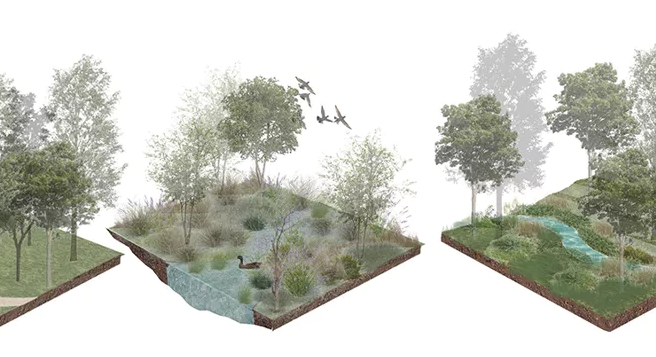 bsc landscape architecture