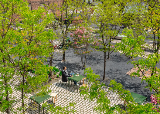 international landscape architects