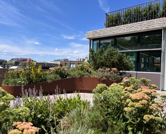 hed landscape architects