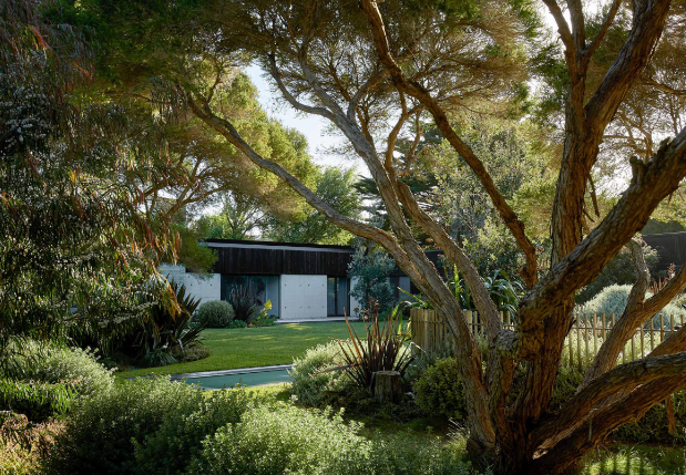 fiona landscape architect