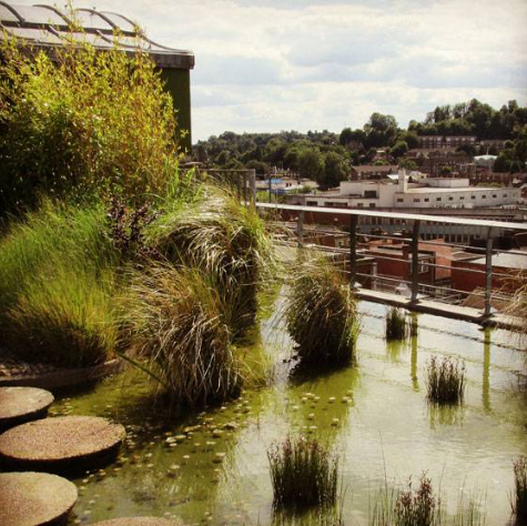 famous american landscape architects