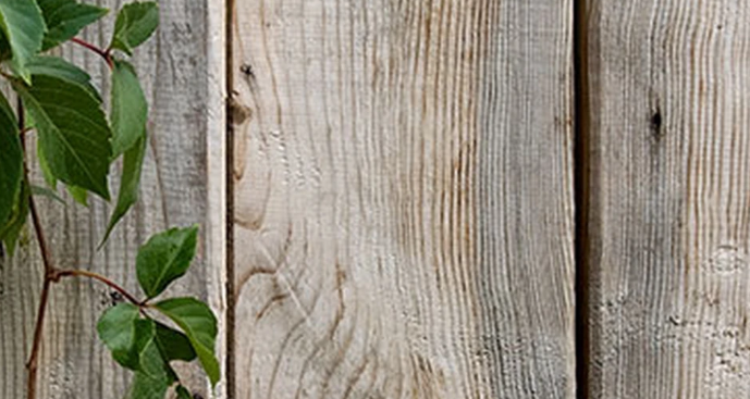 cosburn giberson landscape architects