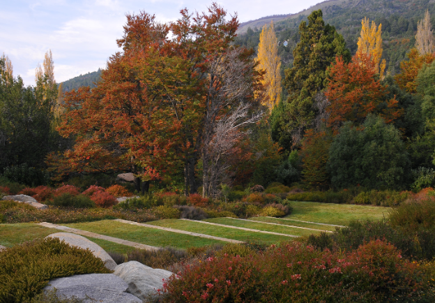 juan grimm landscape architect