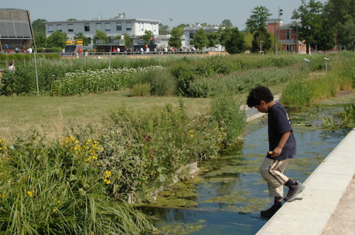 john harper landscape architect
