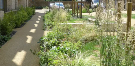 davis landscape architecture