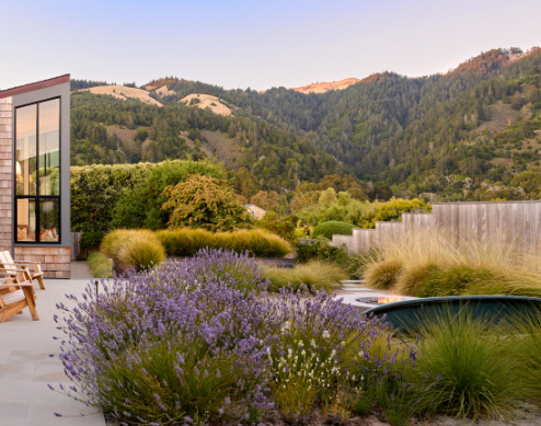 home landscape architecture