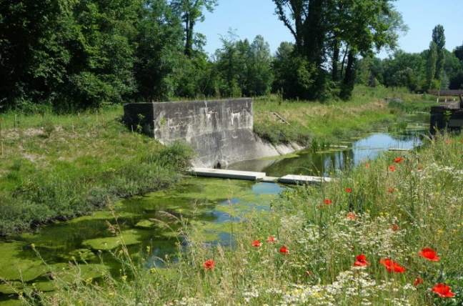 ecological restoration landscape architecture