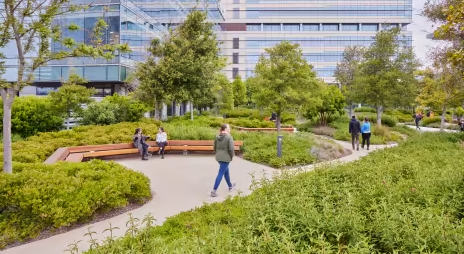 cmg landscape architects