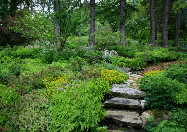 ecological landscape architecture