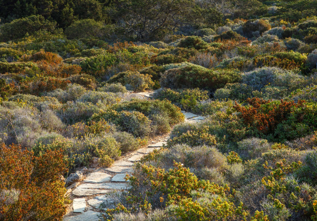 doxiadis landscape