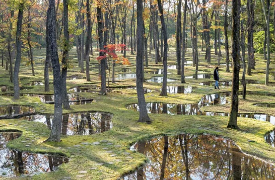junya ishigami landscape