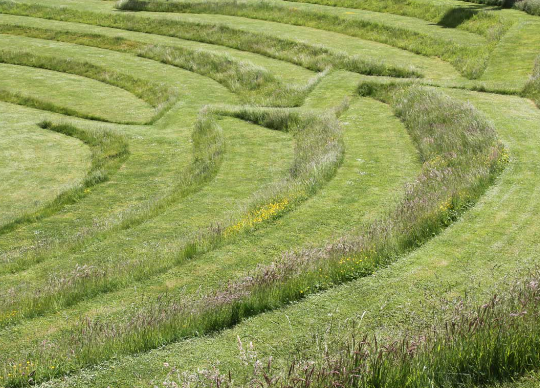 kim wilkie landscape architect
