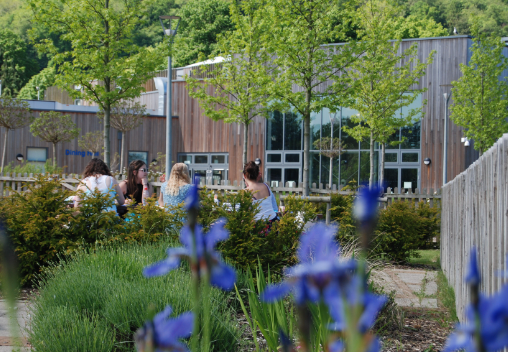 illman young landscape design