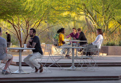 landscape architecture studio