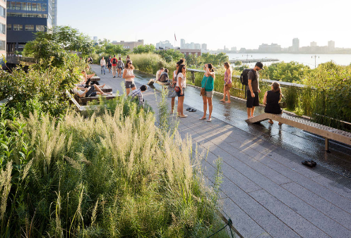 landscape architect highline