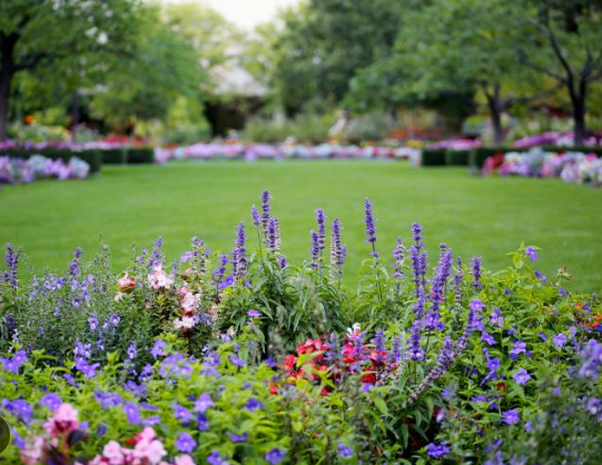landscape architecture for beginners