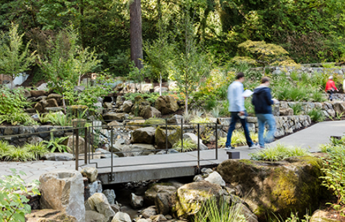 laces landscape architecture